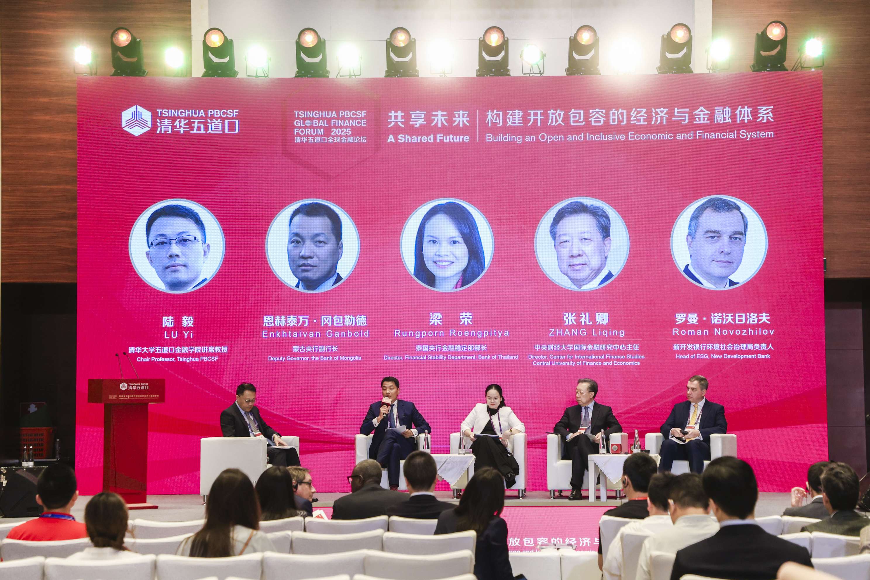 20250517-2025清华五道口全球金融论坛主题讨论六丨新兴市场债务危机与金融治理-金融学院-现场图.jpg